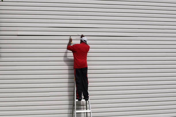 Best Storm Damage Siding Repair  in Holdenville, OK